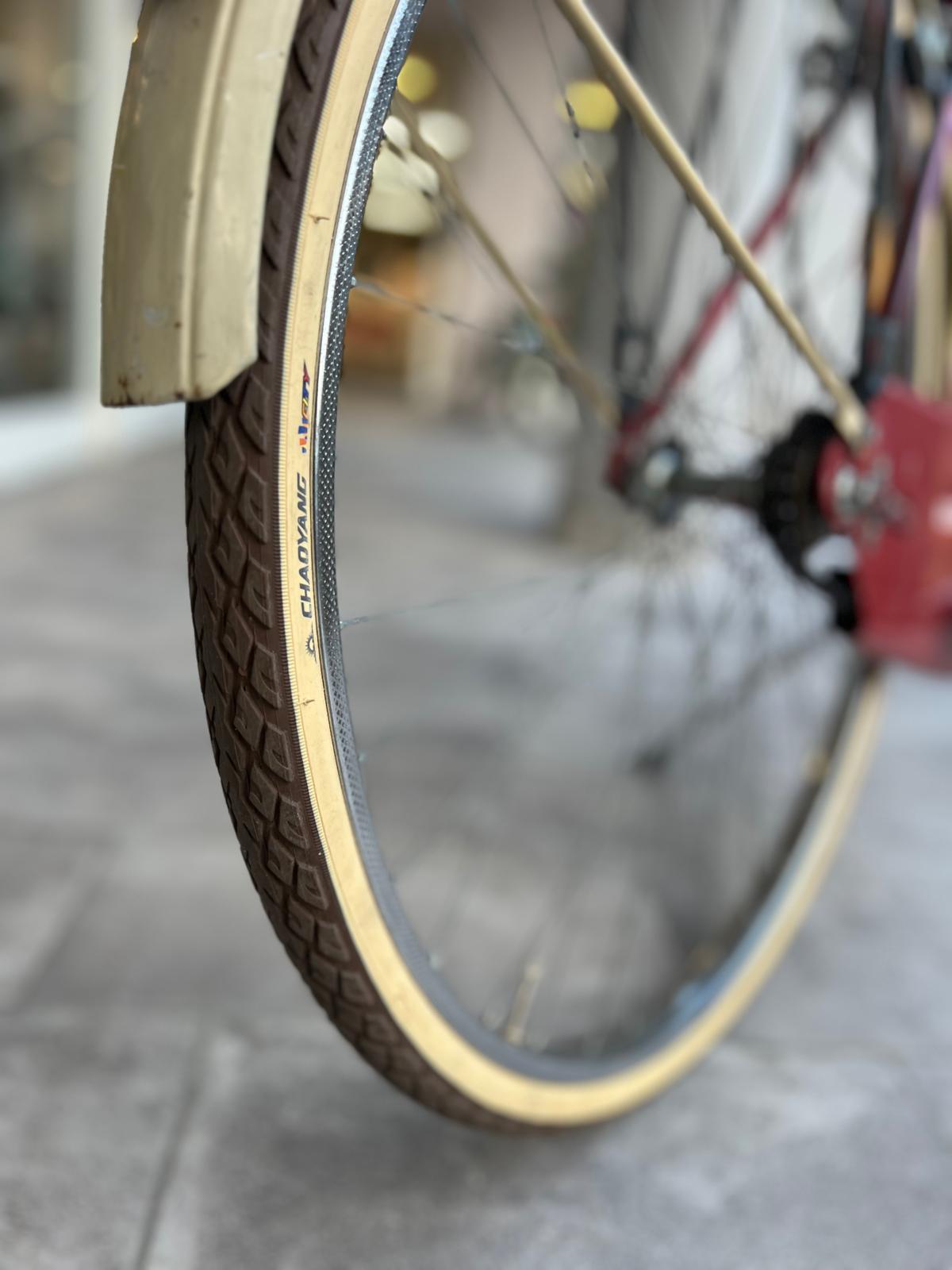 City bike muscolare vintage (usato garantito)