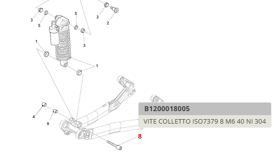 Vite fissaggio ammortizzatore Fantic XTF 1.5 Carbon MY21