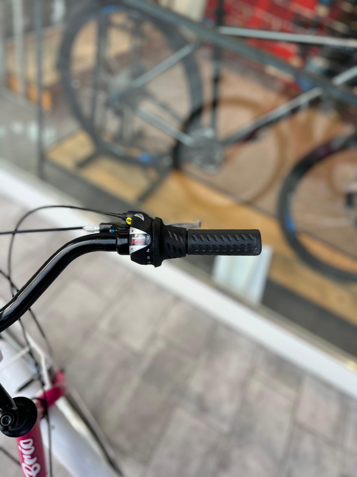 Brera BRIO 24" 6 velocità acciaio freni V-Brake