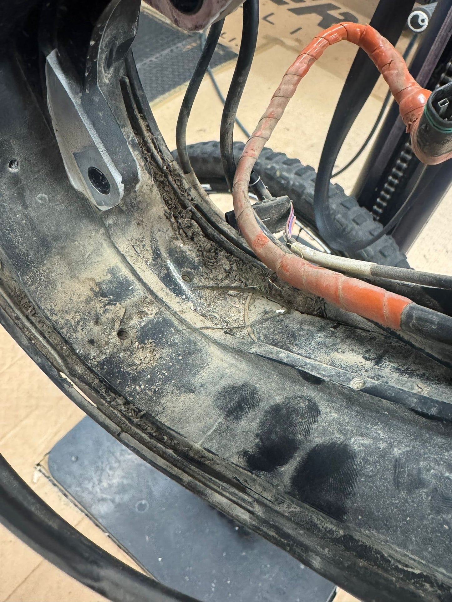 Sostituzione cinghia e revisione motori Brose S MAG